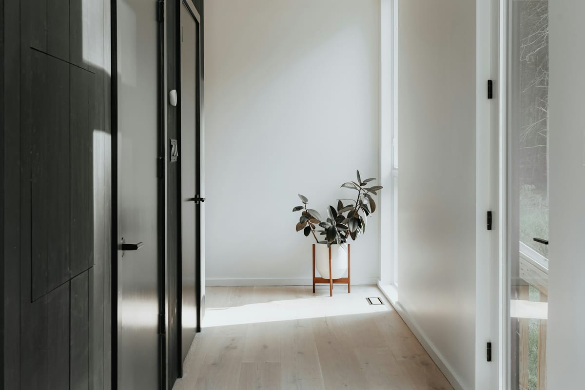 A neutral entrance with a wooden door and potted plant